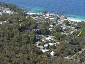 Black Wattle at Hyams Beach, Hyams Beach
